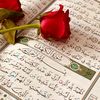 nour225gmail.com5