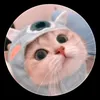 .ngay.trung.tm.qun