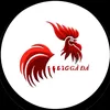 kemkem gà đá 🐓