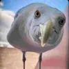 _aannddyy_