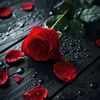 beautifulluna8