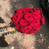 nur50477