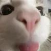 blackxzin2