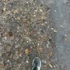 runmakrun