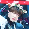 libitou_yeonwoo