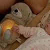 bearsleep75