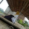siti.nurhayati8663