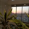 zizu_12340