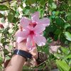 user75280021822025