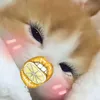 thuquy_9a2