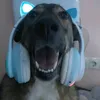 mortisv1487