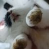 mia_87820v