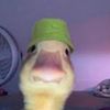 senorghost4