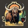 Buffalo BuLL