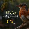 chsaleem830