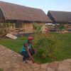 user6236616331433