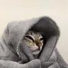 g_aay34