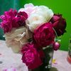 user8272229571810