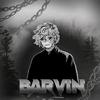 barvin175