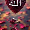 user3454546130617
