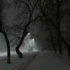 lxqe37