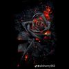 user88100470208164