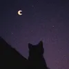 nay_0.26