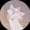 nour.aine4
