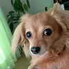 8karin_papa8