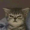 nara0feiaaaaosoaksmdjen