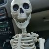 jimmybob1921
