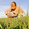 thaua_cuiudo