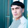 tajm.mohammady
