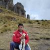 willy.ql