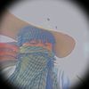 swan.zar.ni40