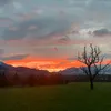tashira_dida