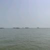 linwenqi79