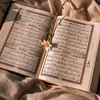 noor._.allslam