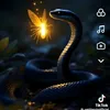 subhanallah_835
