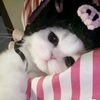 nonasucan