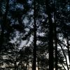 kepo_storyy1