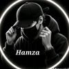 ali.hamza.liaqat1