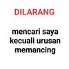 adam.haikal8761