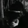 anassnve11