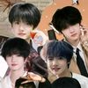 maylovezhangyiran