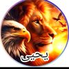 abo.yoyo67