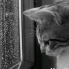 njaaaa_iputt9