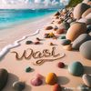 wasi.malik245
