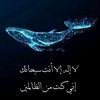 rodytaha42