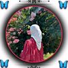 wacan2.2